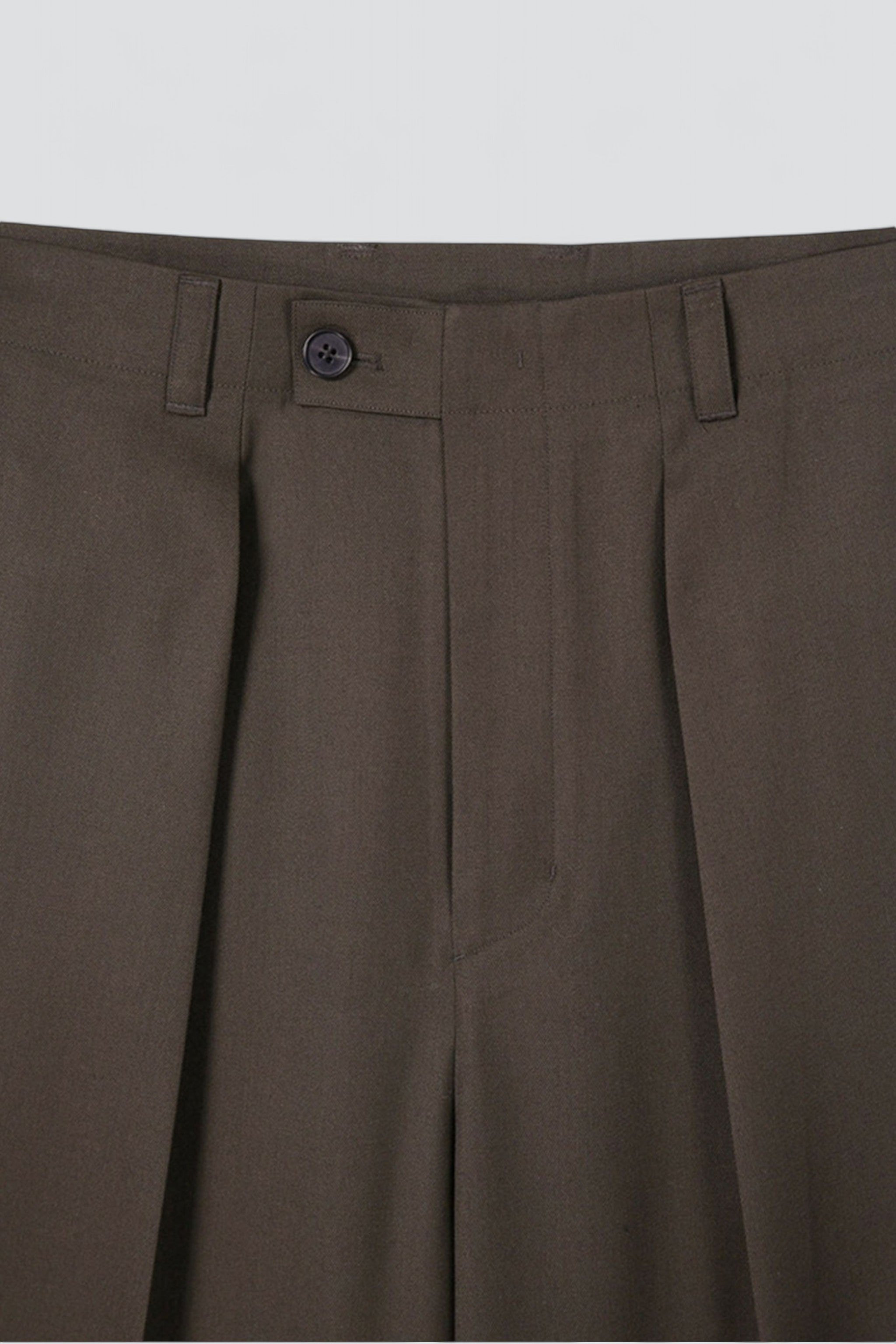 Brown Wool Twill Pleated Wide Trousers